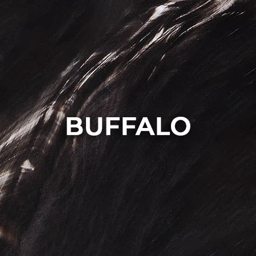 Buffalo