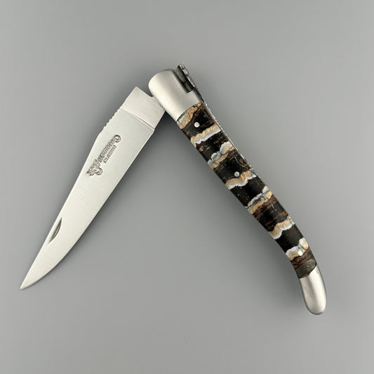 Laguiole en Aubraac Folding Knife with molar handle  partially opened
