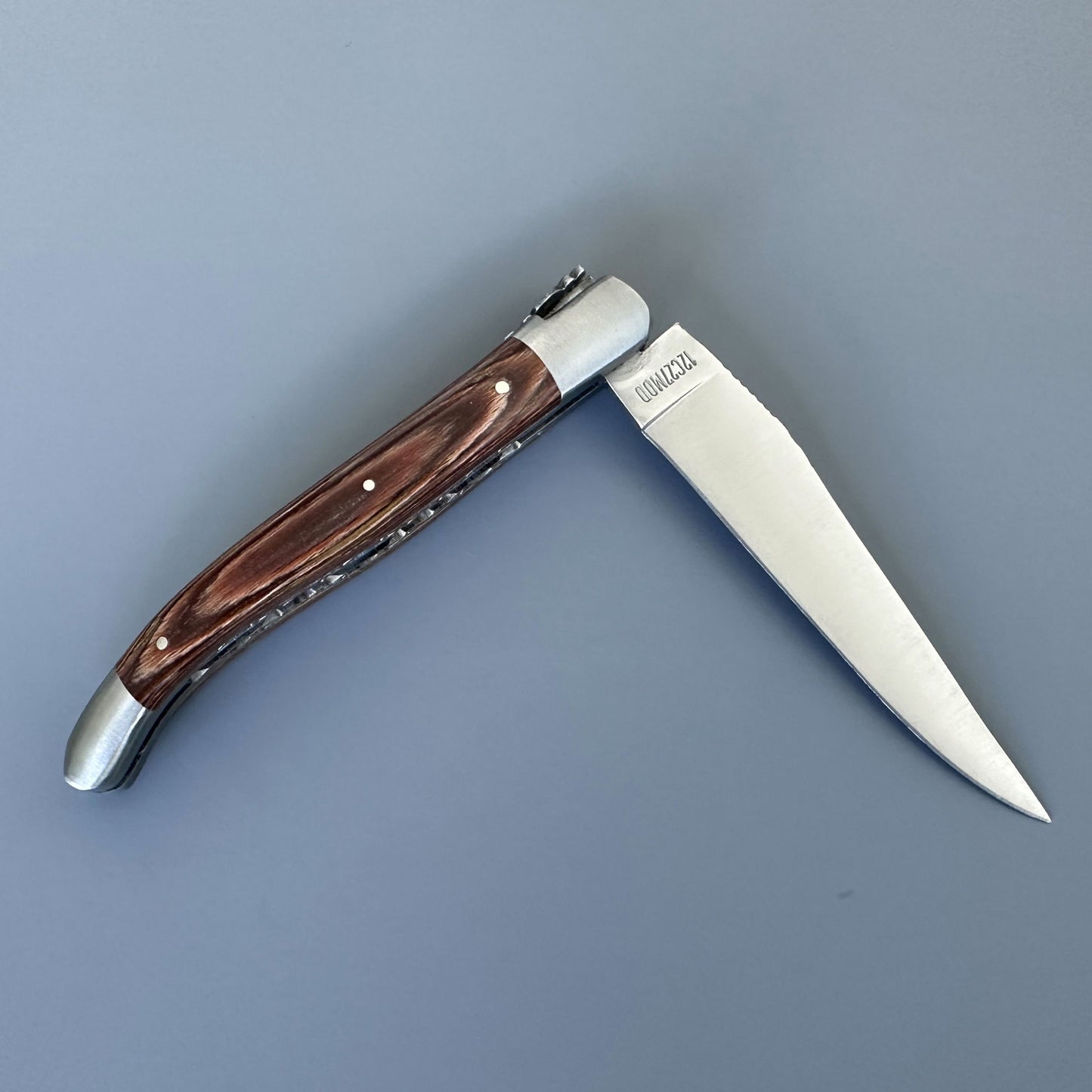 Angled view of an open Laguiole en Aubrac pocket knife highlighting the hand-filed bee, forged spring, and caramel Pakka handle