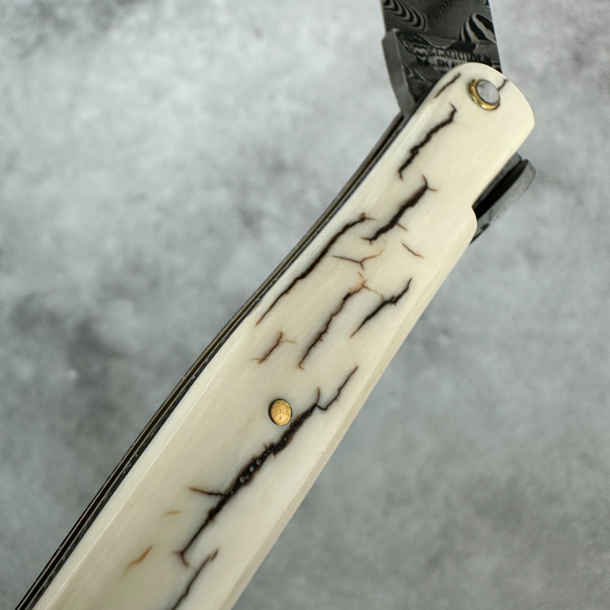 Close-up of Laguiole en Aubrac folding pocket knife handle made of mammoth bone  with dark veining and two brass pins, shown against a textured gray background