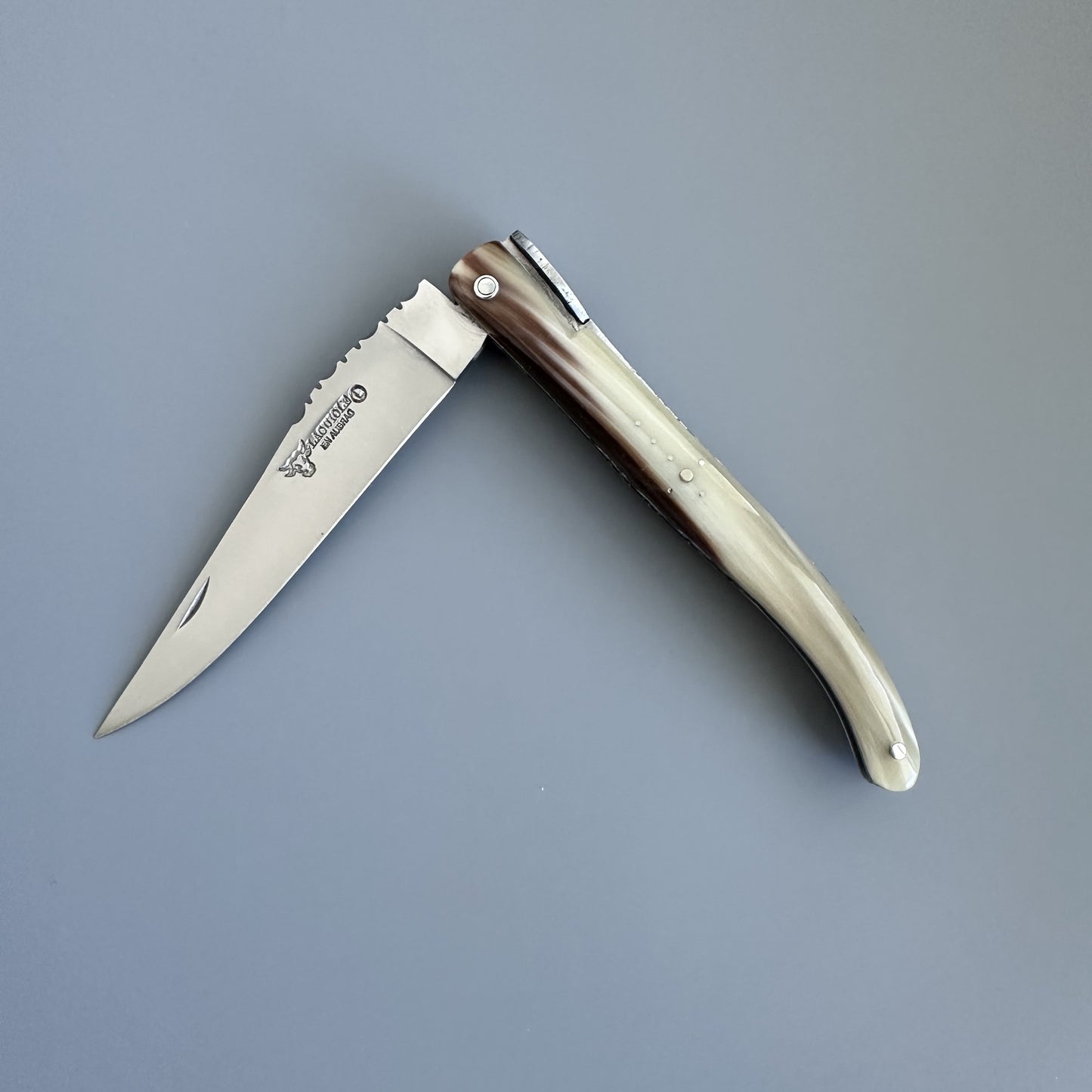 A folding pocket knife with a silver stainless steel blade and a polished bone handle, shown open against a solid gray background.