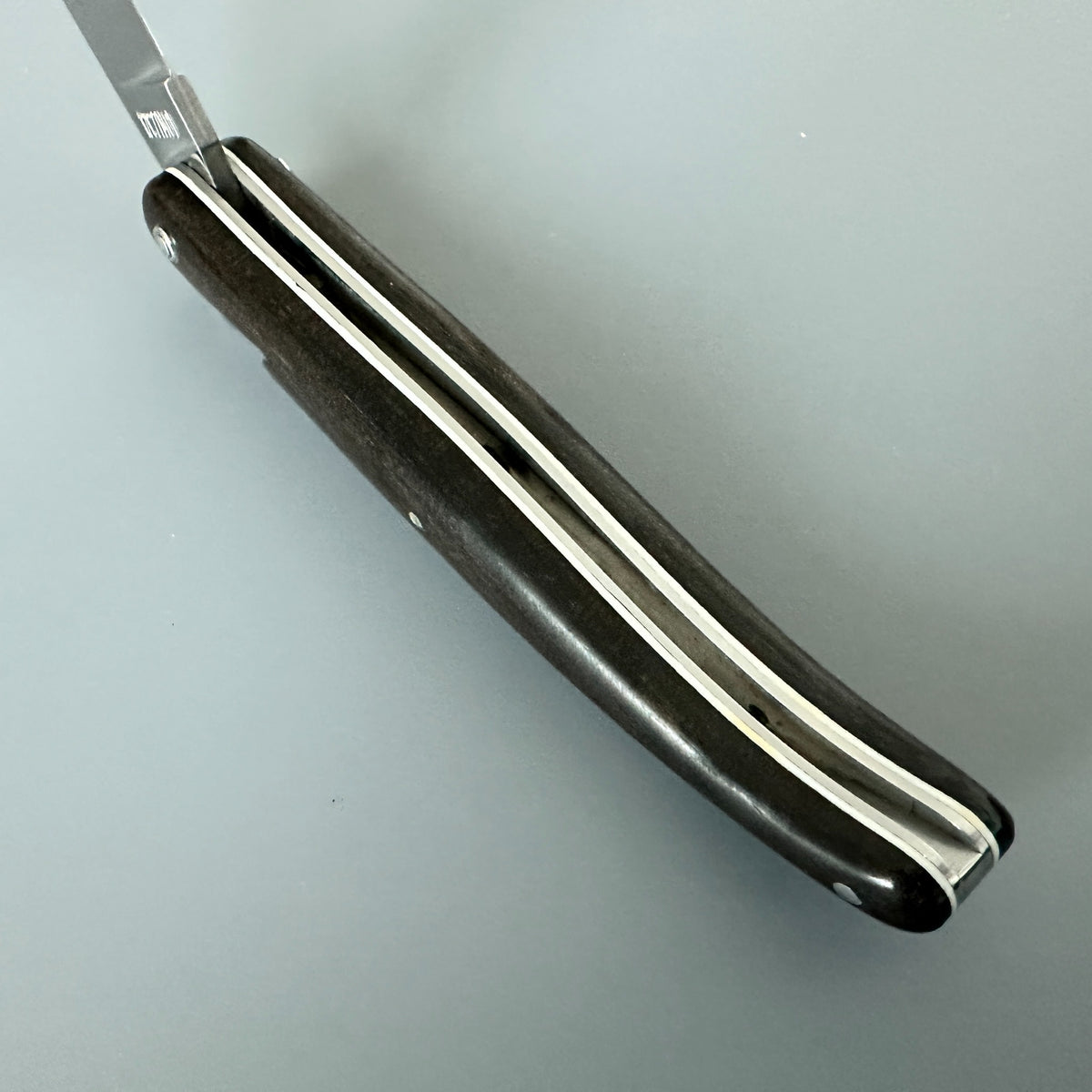 Inner Spine with white spacer of Laguiole en Aubrac USA Independence 250 anniversary folding pocket knife with Ebony Handle