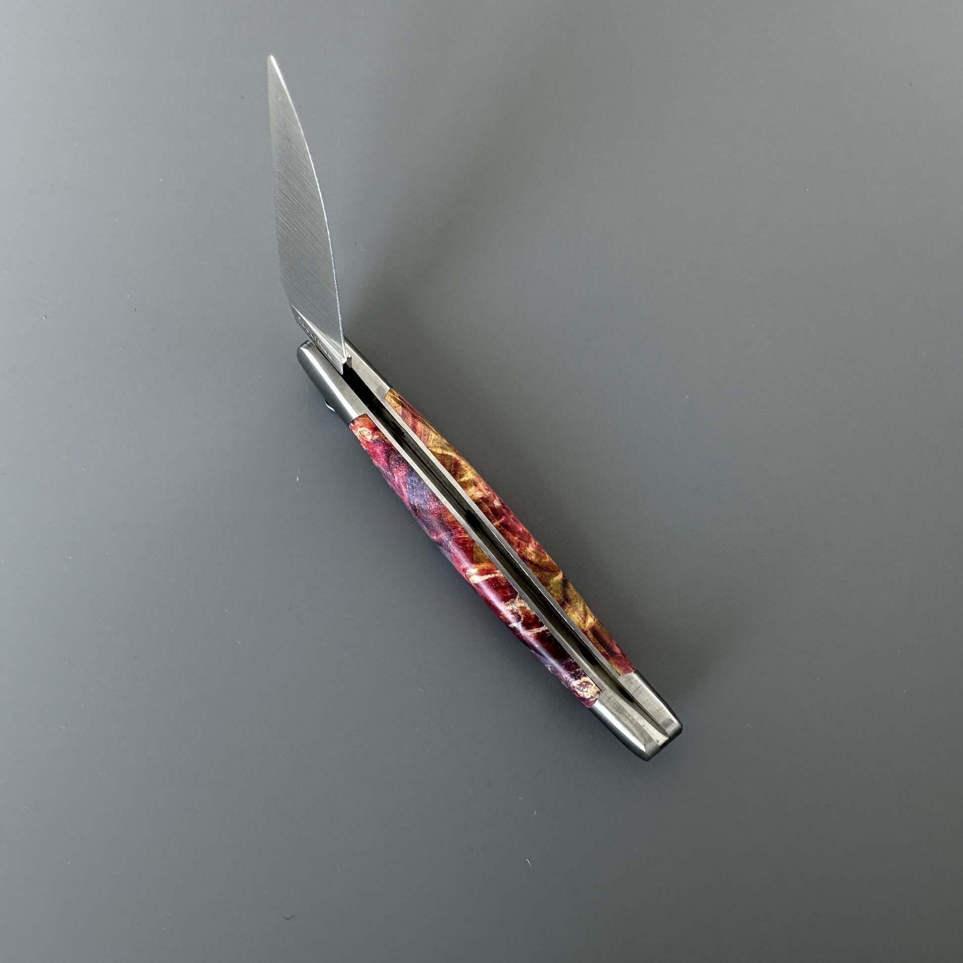 Open Belle folding knife with polished blade partly unfolded, red-gold elder burl handle, shown blade-left