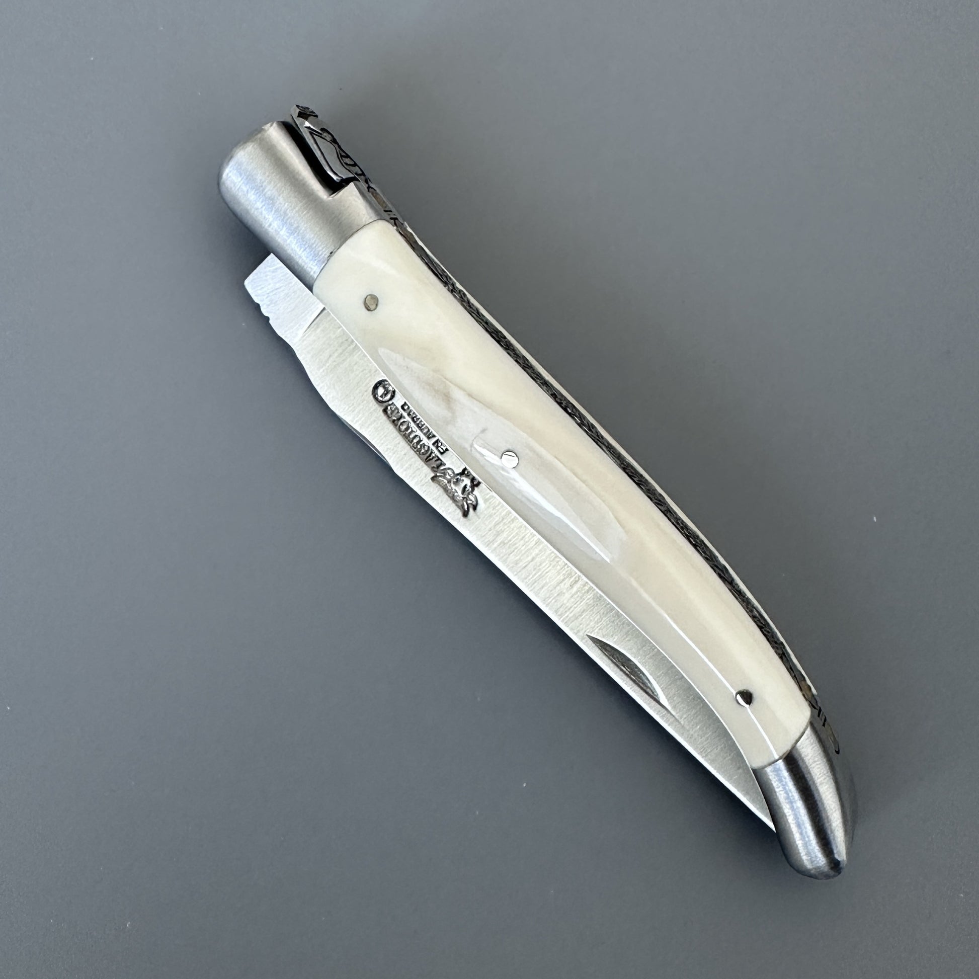 Closed Belle folding knife with warthog bone handle, shown diagonally with blade edge and pin detail visible