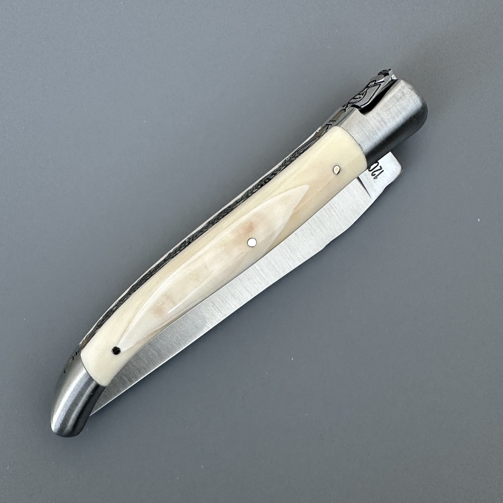 Closed Belle folding knife with warthog bone handle, shown diagonally with blade edge and pin detail visible