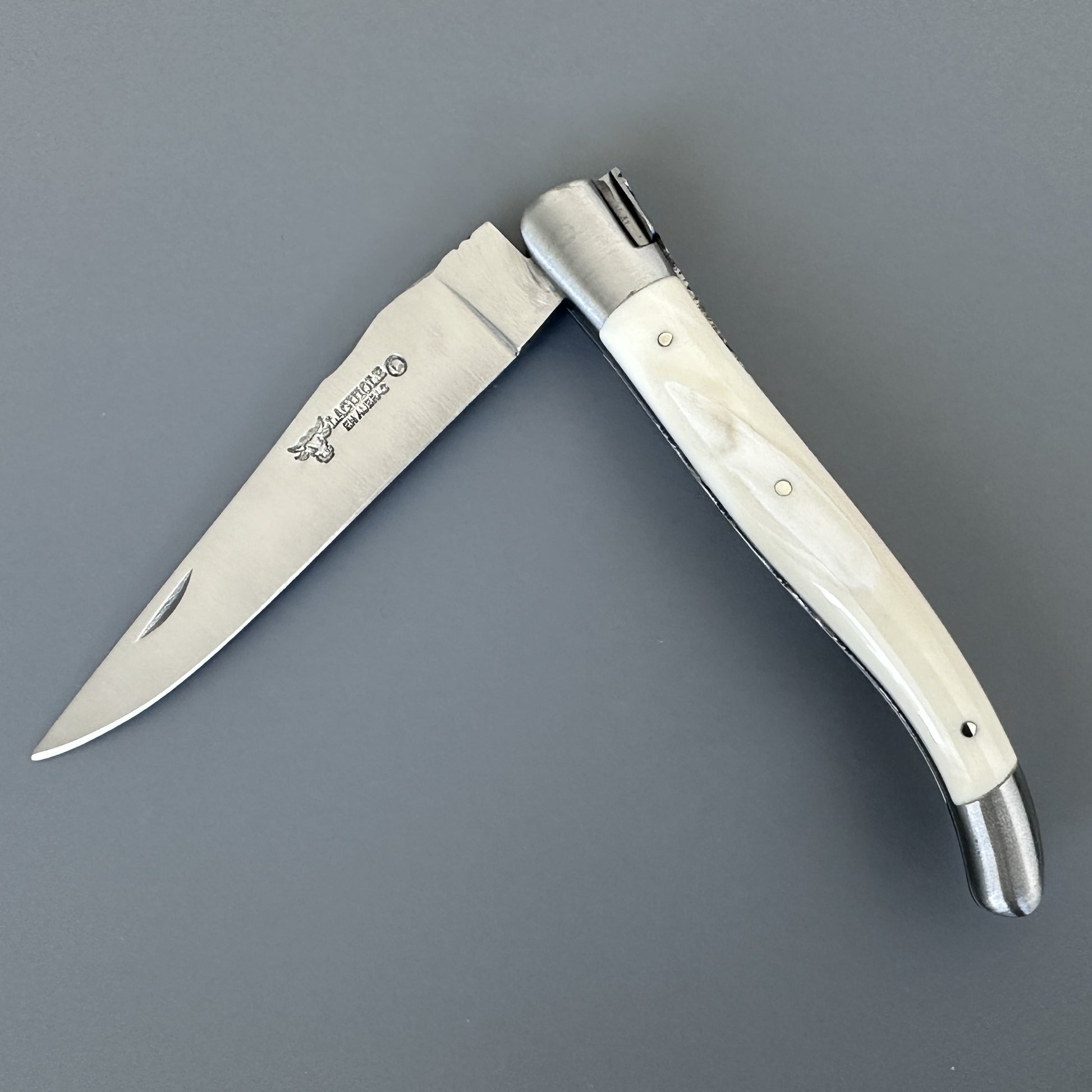 Open Laguiole en Aubrac Belle knife with polished blade and warthog bone handle, shown blade-left