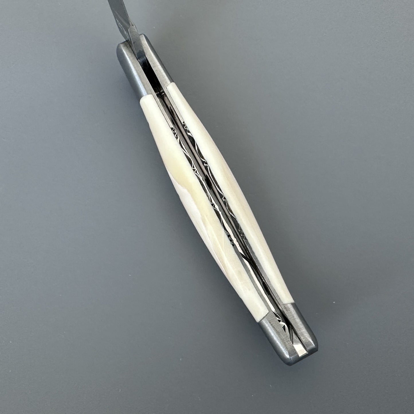 Top-down detail of the Belle knife's spine showing the engraved centerline and warthog bone scales