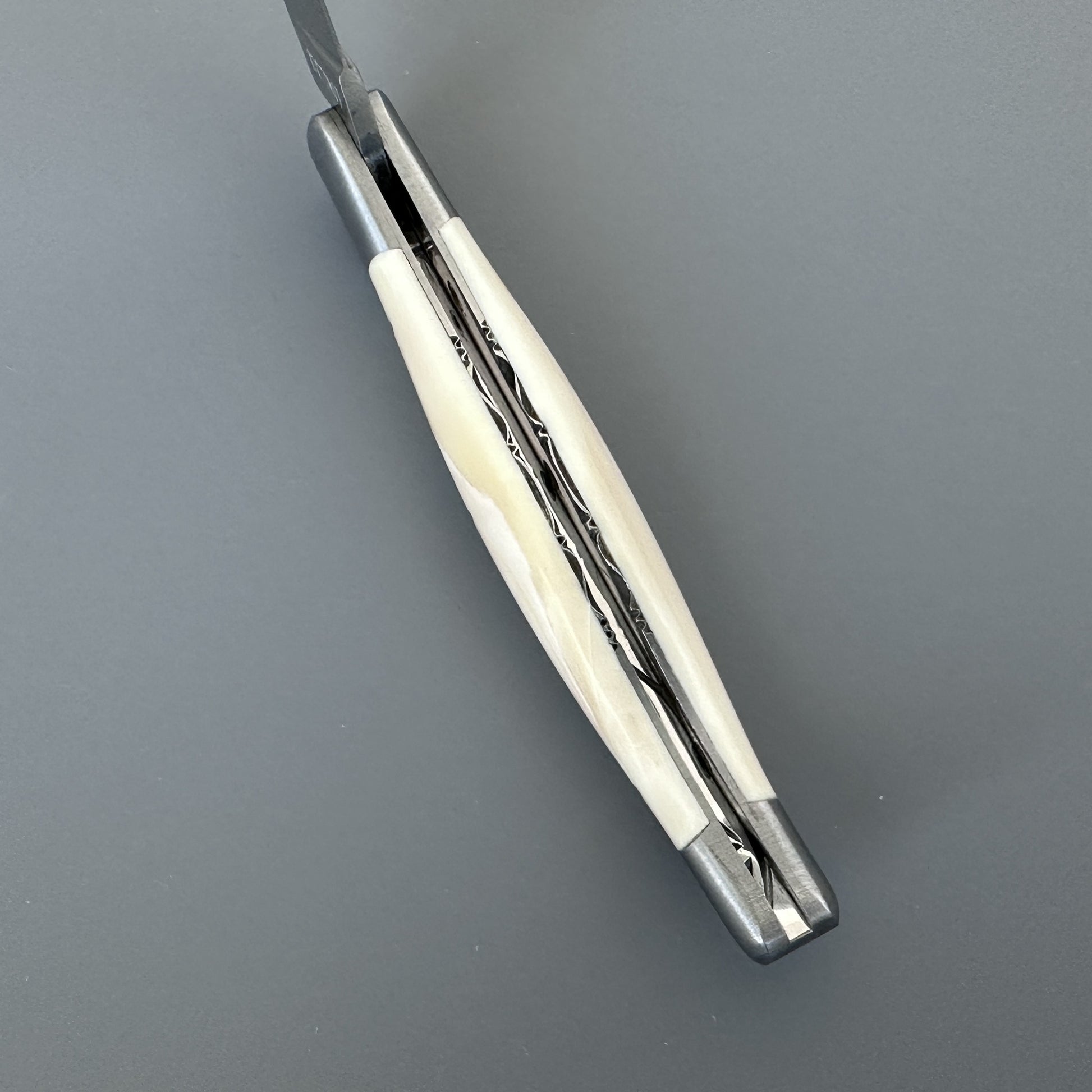 Top-down detail of the Belle knife's spine showing the engraved centerline and warthog bone scales