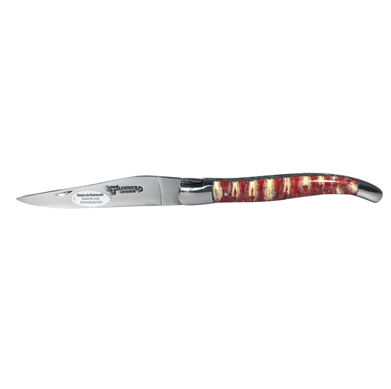 Laguiole en Aubrac Handcrafted Luxury Double Plated Multipurpose Knife with Red Mollar Handle,  4.75-inches - LaguioleEnAubracShop