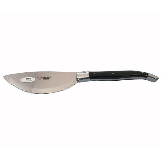 Pizza knife with a rounded blade